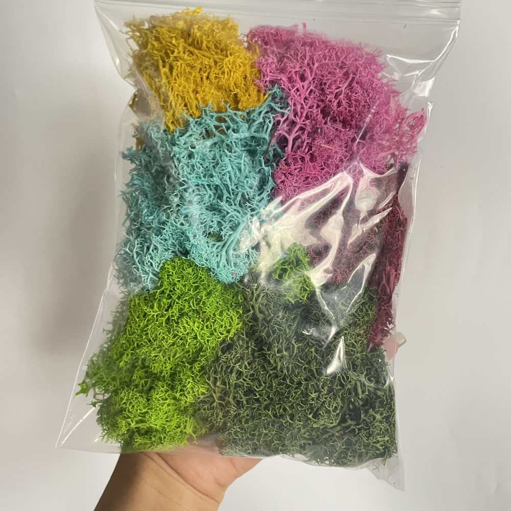 Sphagnum Moss Dry - Paket Lumut Buatan yang Cerah untuk