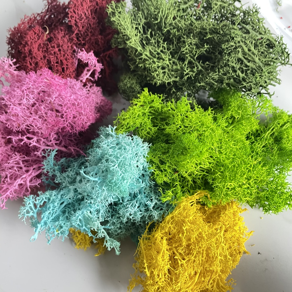 Paket Lumut Buatan yang Cerah  - Sphagnum Moss Dry ulasan dan harga