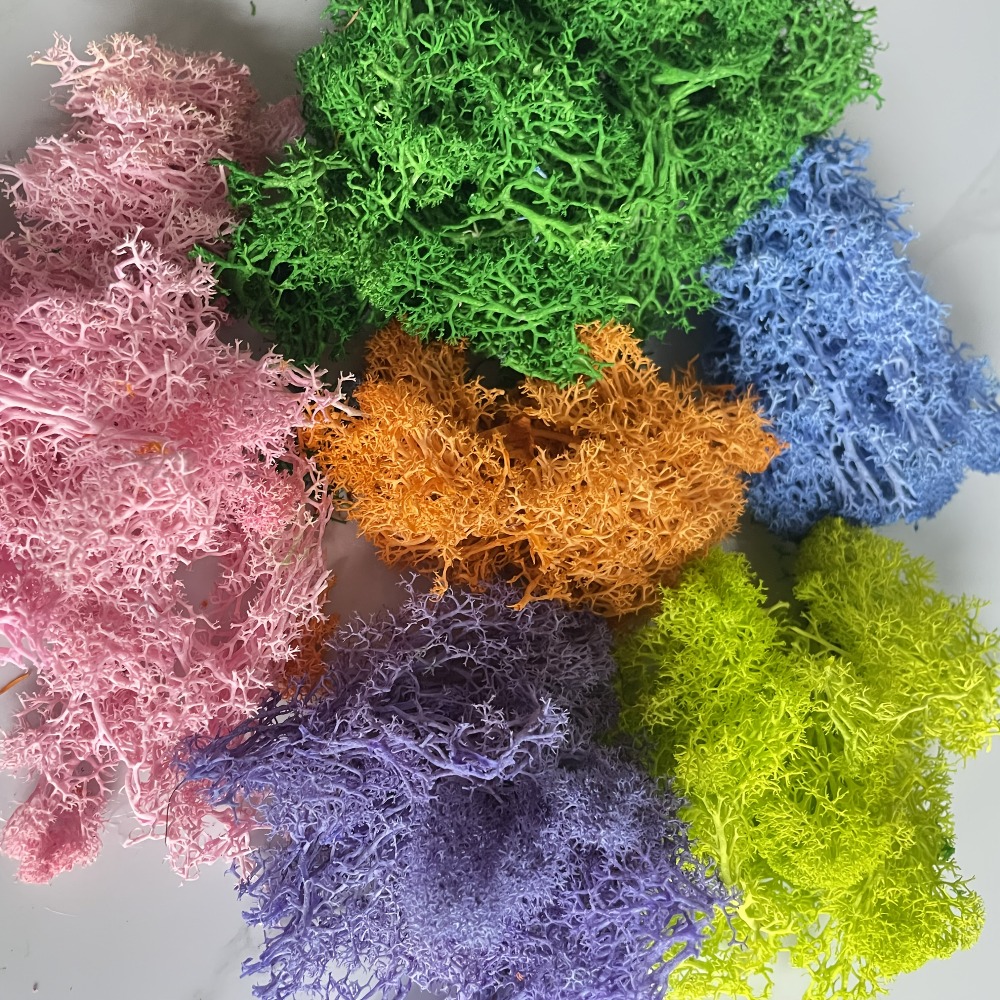 Paket Lumut Buatan yang Cerah  - Sphagnum Moss Dry ulasan dan harga