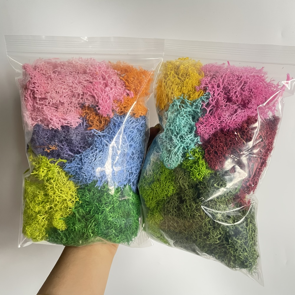 Paket Lumut Buatan yang Cerah  - Sphagnum Moss Dry ulasan dan harga