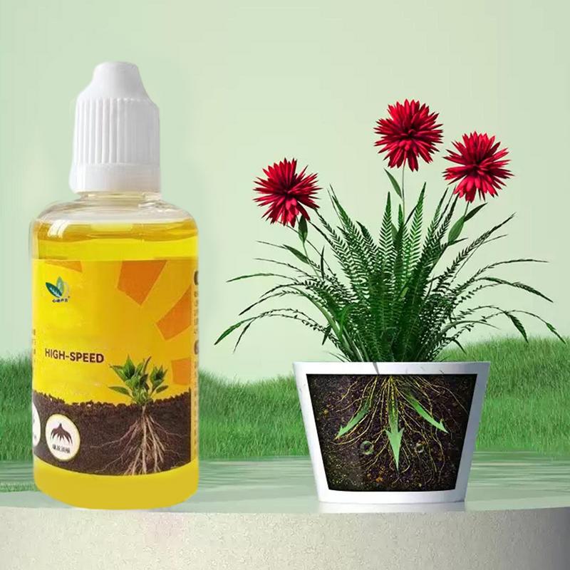 50ml Stimulator akar tanaman c - Root Stimulator Liquid ulasan dan harga