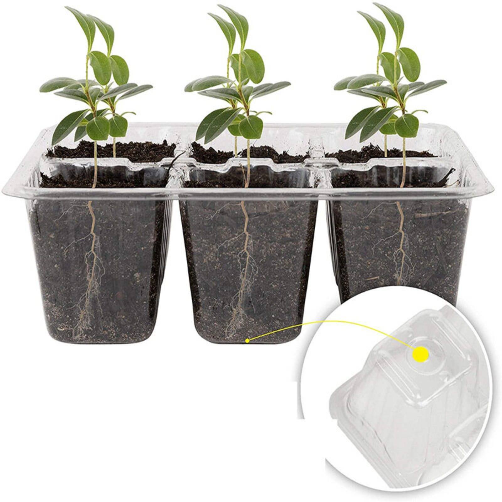 Baki Perkecambahan 12 Komparte - Humidity Dome Kit ulasan dan harga