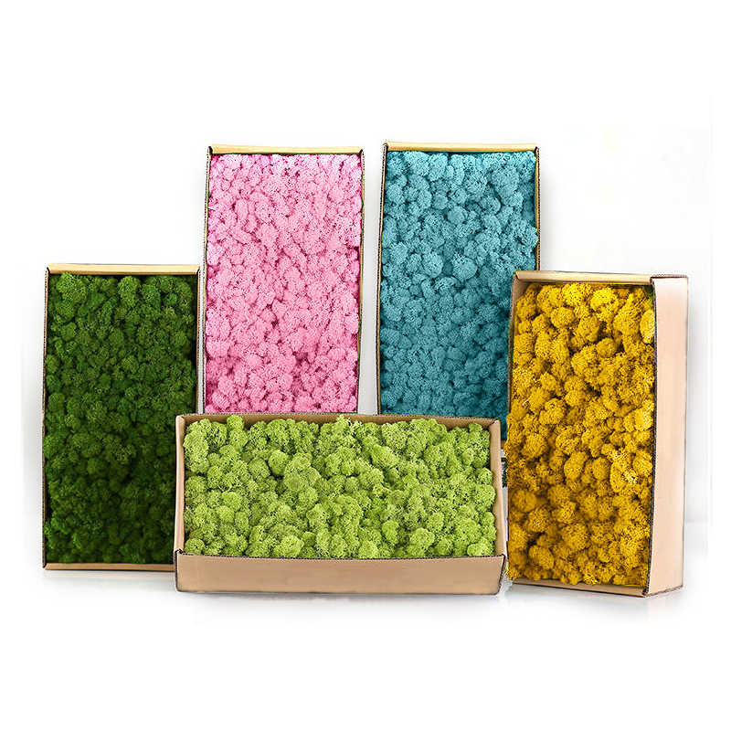 Tanaman hijau buatan lanskap M - Sphagnum Moss Dry ulasan dan harga