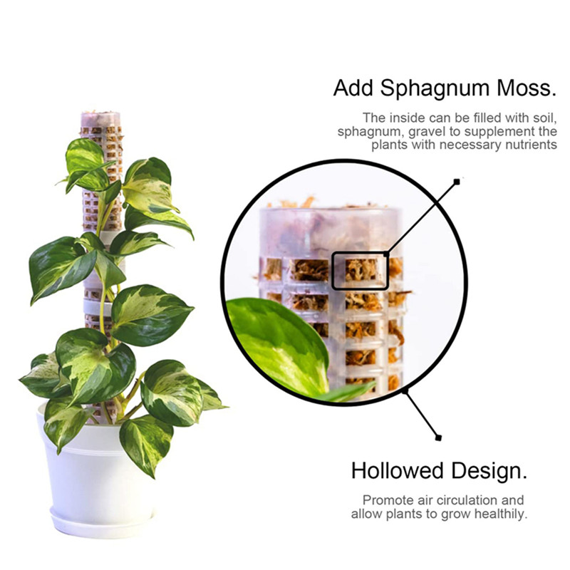 Tongkat Lumut Plastik, Tongkat - Sphagnum Moss Dry ulasan dan harga